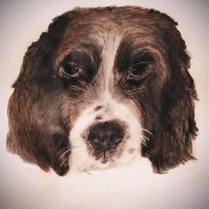 Meet your Posher, Jody